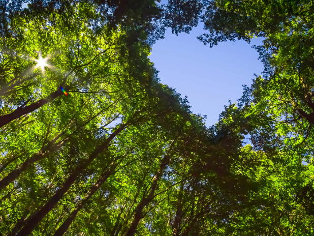green marketing mix should be part of your life cycle assessment