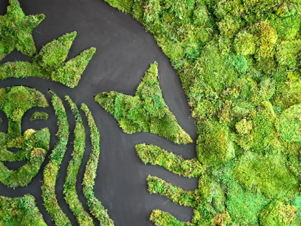 Starbucks Sustainability