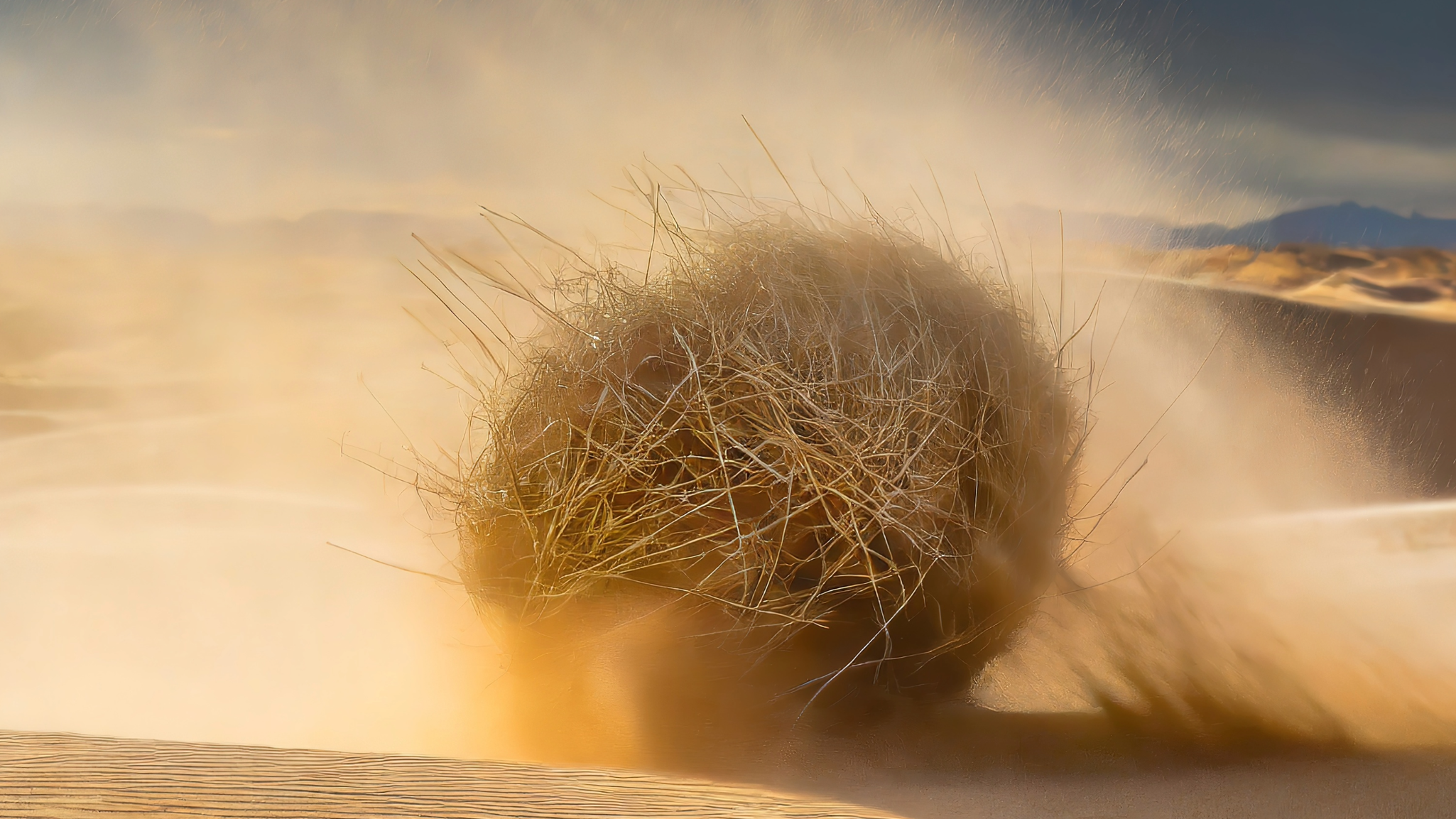  Is SEO dead? Hero image tumbleweed