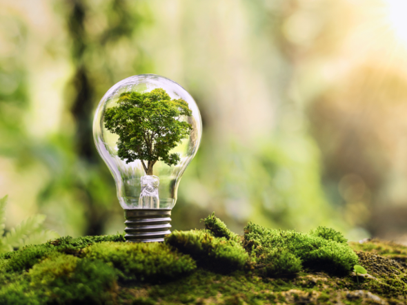 Green marketing guide